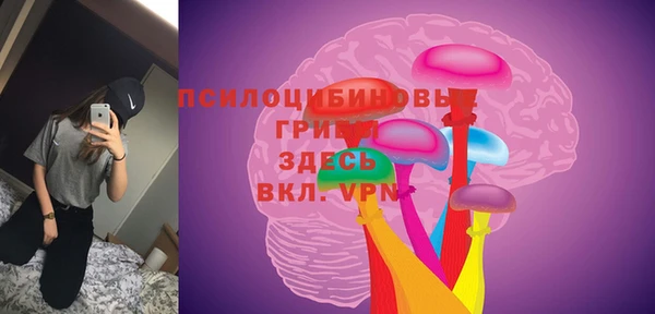 СК Алзамай