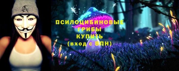 прущие грибы Алексеевка
