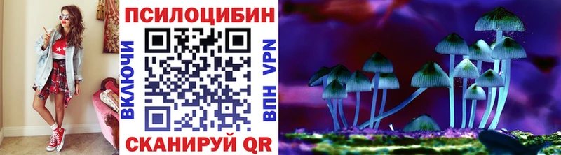 наркотики  Курск  Галлюциногенные грибы Psilocybine cubensis 